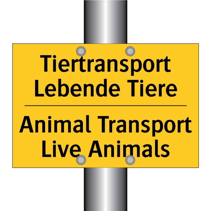 Tiertransport Lebende Tiere - Animal Transport Live Animals
