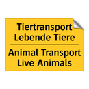 Tiertransport Lebende Tiere - Animal Transport Live Animals
