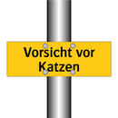Vorsicht vor Katzen