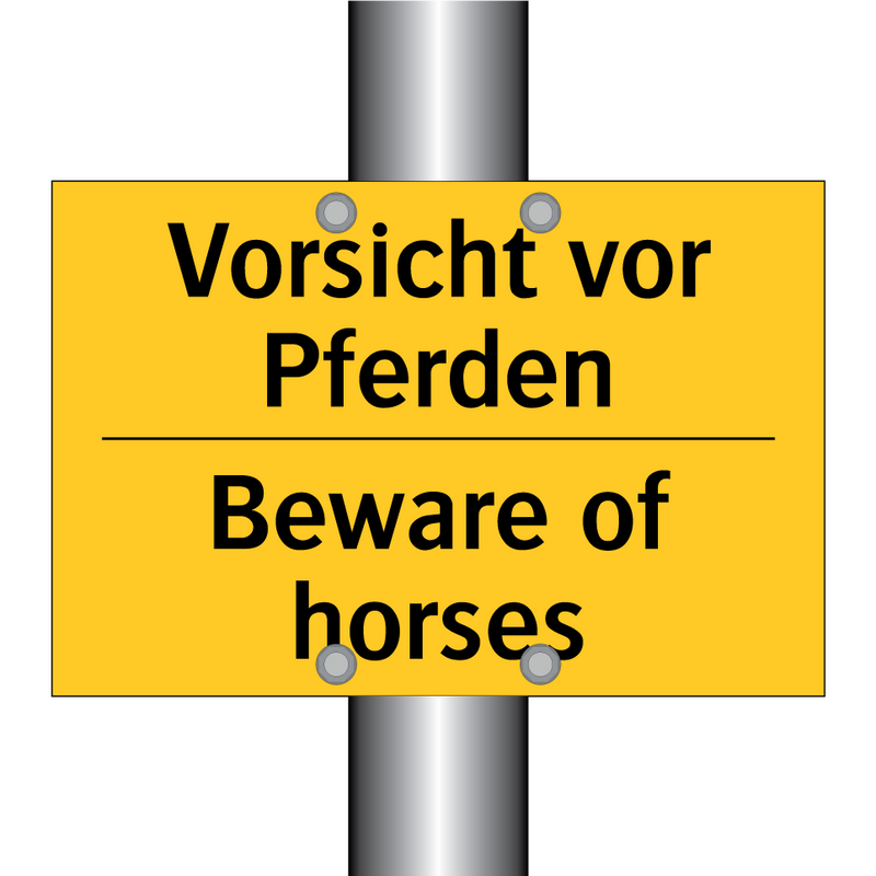 Vorsicht vor Pferden - Beware of horses