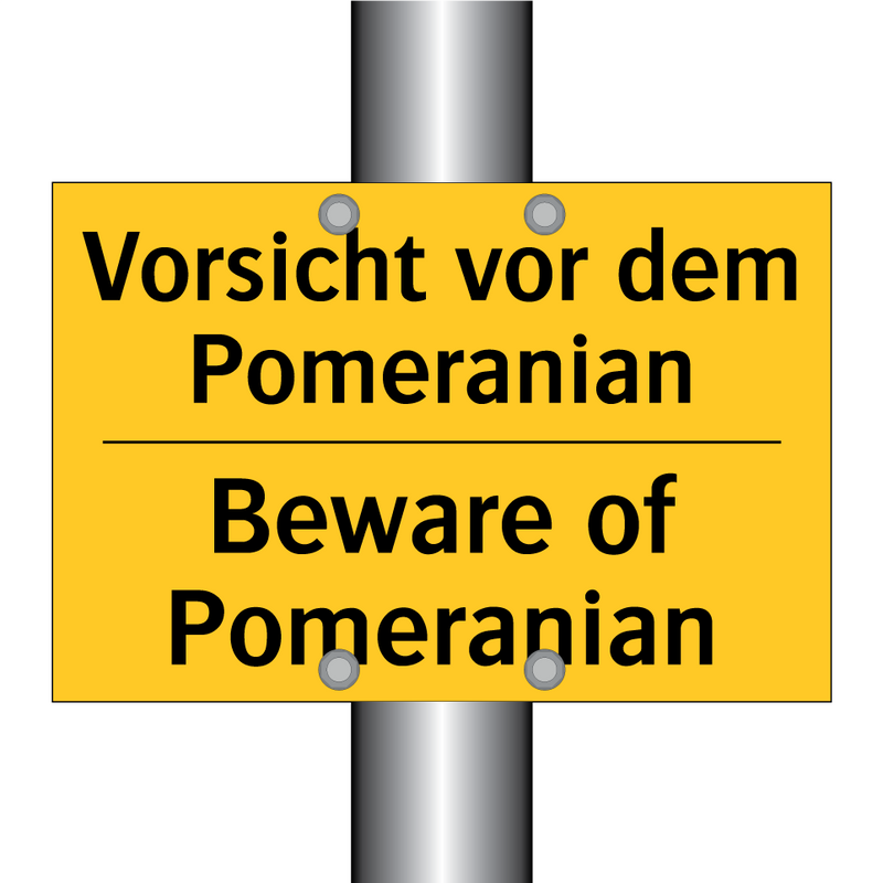 Vorsicht vor dem Pomeranian - Beware of Pomeranian