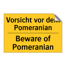 Vorsicht vor dem Pomeranian - Beware of Pomeranian