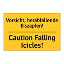 Vorsicht, herabfallende Eiszapfen!/.../ - Caution Falling Icicles!
