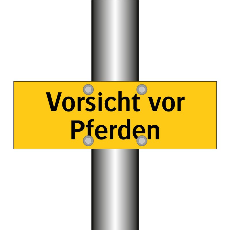 Vorsicht vor Pferden