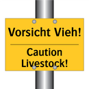 Vorsicht Vieh! - Caution Livestock!