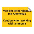 Vorsicht beim Arbeiten mit Ammoniak/.../ - Caution when working with ammonia/.../