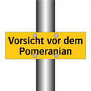 Vorsicht vor dem Pomeranian