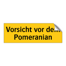 Vorsicht vor dem Pomeranian