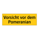 Vorsicht vor dem Pomeranian