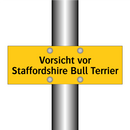 Vorsicht vor Staffordshire Bull Terrier