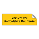 Vorsicht vor Staffordshire Bull Terrier