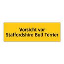 Vorsicht vor Staffordshire Bull Terrier