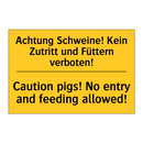 Achtung Schweine! Kein Zutritt /.../ - Caution pigs! No entry and feeding /.../