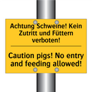 Achtung Schweine! Kein Zutritt /.../ - Caution pigs! No entry and feeding /.../