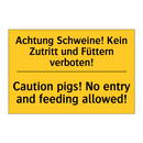 Achtung Schweine! Kein Zutritt /.../ - Caution pigs! No entry and feeding /.../