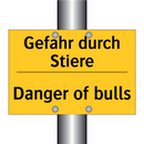 Gefahr durch Stiere - Danger of bulls