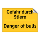 Gefahr durch Stiere - Danger of bulls