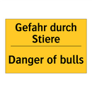 Gefahr durch Stiere - Danger of bulls