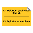 EX Explosionsgefährdeter Bereich/.../ - EX Explosive Atmosphere