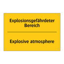 Explosionsgefährdeter Bereich - Explosive atmosphere