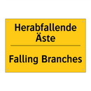 Herabfallende Äste - Falling Branches