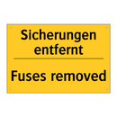 Sicherungen entfernt - Fuses removed