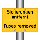 Sicherungen entfernt - Fuses removed