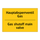 Hauptabsperrventil Gas - Gas shutoff main valve