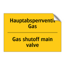 Hauptabsperrventil Gas - Gas shutoff main valve