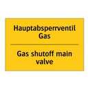 Hauptabsperrventil Gas - Gas shutoff main valve