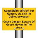 Gansgefahr! Vorsicht vor Gänsen, /.../ - Goose Danger! Beware Of Geese /.../