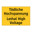 Tödliche Hochspannung - Lethal High Voltage