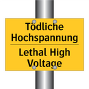 Tödliche Hochspannung - Lethal High Voltage