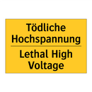 Tödliche Hochspannung - Lethal High Voltage