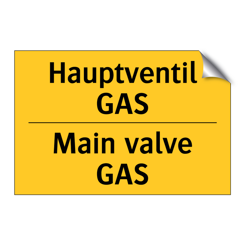 Hauptventil GAS - Main valve GAS
