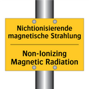 Nichtionisierende magnetische /.../ - Non-Ionizing Magnetic Radiation/.../