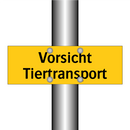 Vorsicht Tiertransport