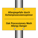 Allergiegefahr durch Eichenprozessionsspinner/.../ - Oak Processionary Moth Allergy /.../