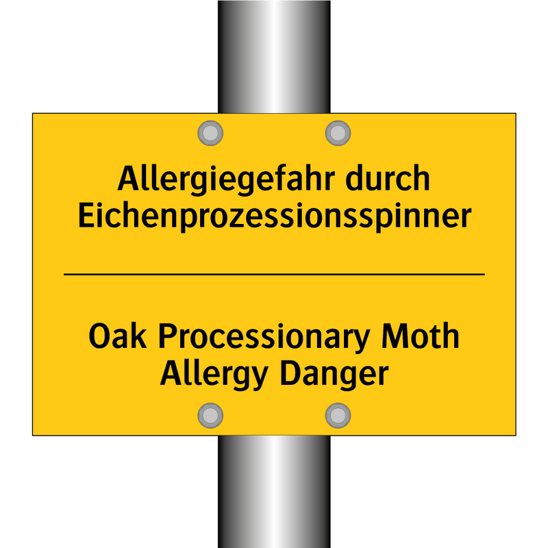 Allergiegefahr durch Eichenprozessionsspinner/.../ - Oak Processionary Moth Allergy /.../