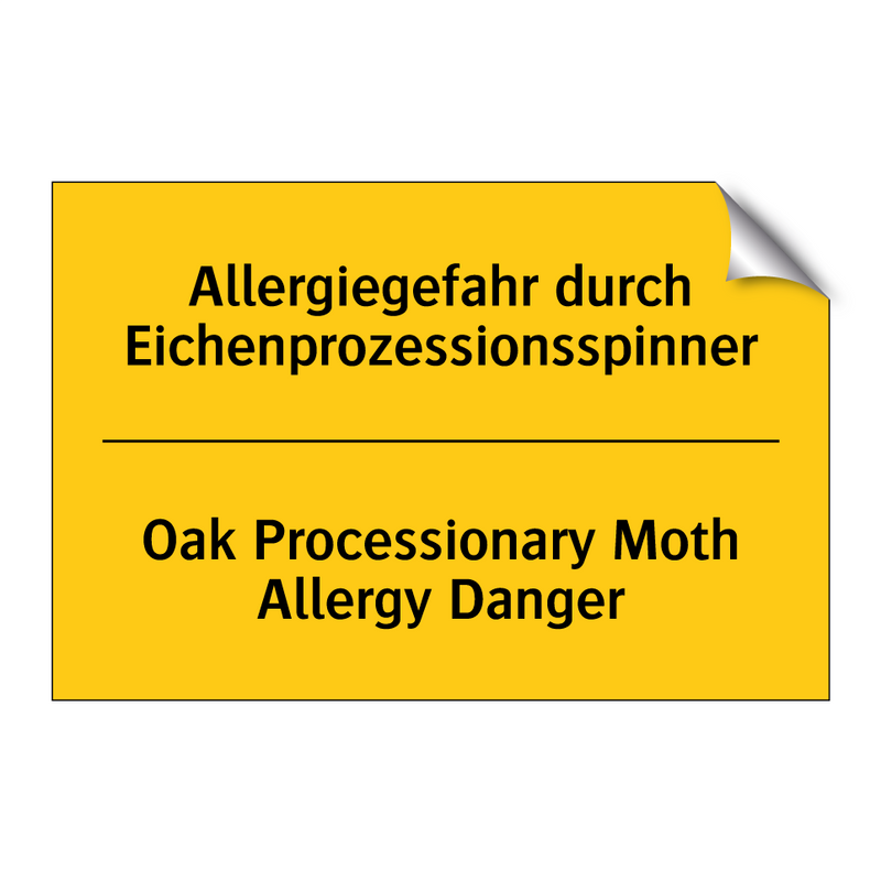 Allergiegefahr durch Eichenprozessionsspinner/.../ - Oak Processionary Moth Allergy /.../