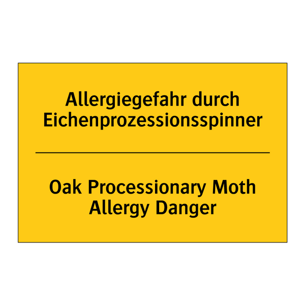 Allergiegefahr durch Eichenprozessionsspinner/.../ - Oak Processionary Moth Allergy /.../