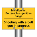 Schießen mit Bolzenschussgerät /.../ - Shooting with a bolt gun in progress/.../