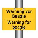 Warnung vor Beagle - Warning for beagle