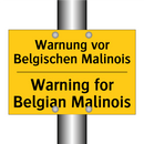 Warnung vor Belgischen Malinois/.../ - Warning for Belgian Malinois