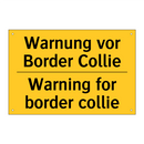 Warnung vor Border Collie - Warning for border collie