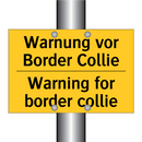 Warnung vor Border Collie - Warning for border collie