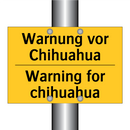 Warnung vor Chihuahua - Warning for chihuahua