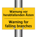 Warnung vor herabfallenden Ästen/.../ - Warning for falling branches