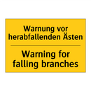 Warnung vor herabfallenden Ästen/.../ - Warning for falling branches