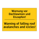 Warnung vor Dachlawinen und Eiszapfen!/.../ - Warning of falling roof avalanches /.../
